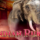 Indian Ruby