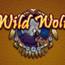 Wild Wolf
